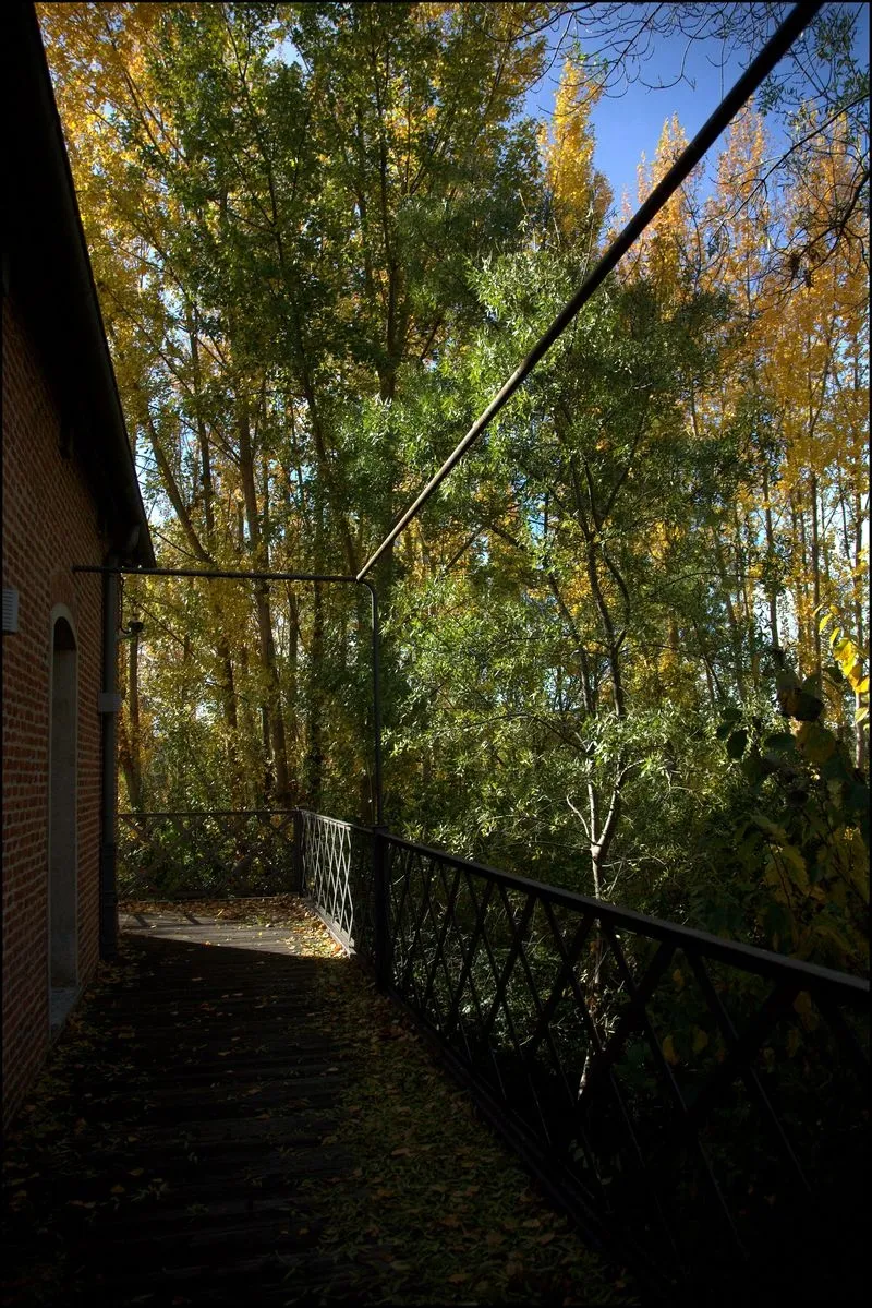 Foto 4 - El oto&ntilde;o alrededor de La F&aacute;brica de Harinas
