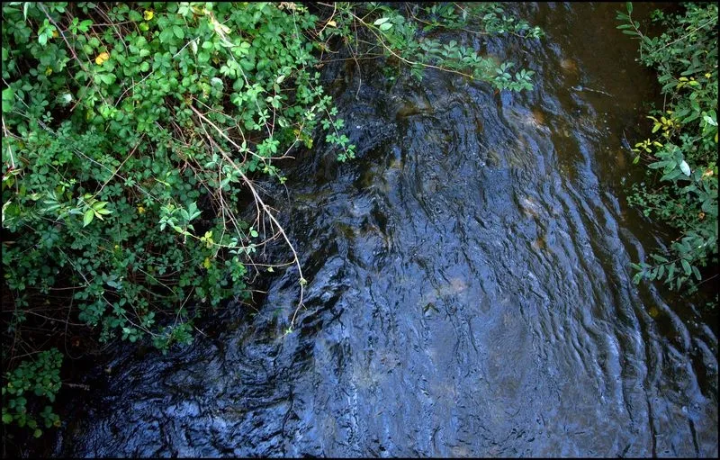 Foto 3 - El oto&ntilde;o alrededor de La F&aacute;brica de Harinas
