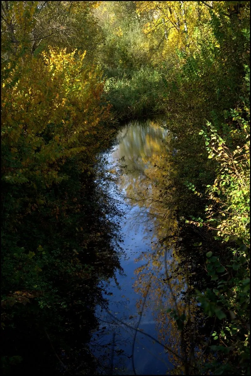 Foto 2 - El oto&ntilde;o alrededor de La F&aacute;brica de Harinas