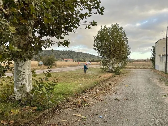 Foto 2 - El Ayuntamiento informa sobre los trabajos realizados a finales de octubre