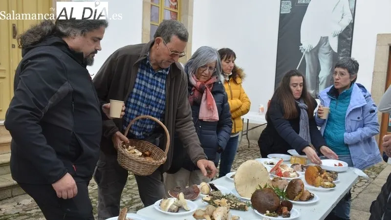 La Quedada Micológica incluyó la salida al campo y la exposición de las setas recogidas
