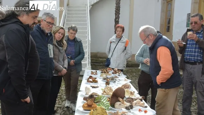 La Quedada Micológica incluyó la salida al campo y la exposición de las setas recogidas