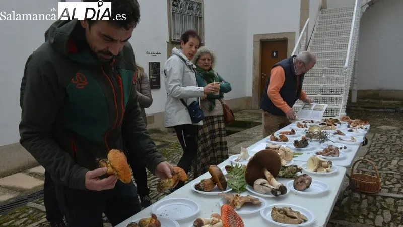 La Quedada Micológica incluyó la salida al campo y la exposición de las setas recogidas