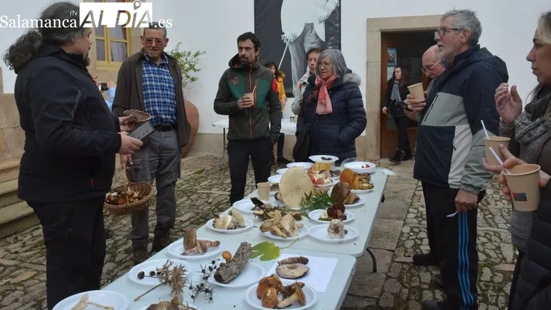 La Quedada Micológica incluyó la salida al campo y la exposición de las setas recogidas