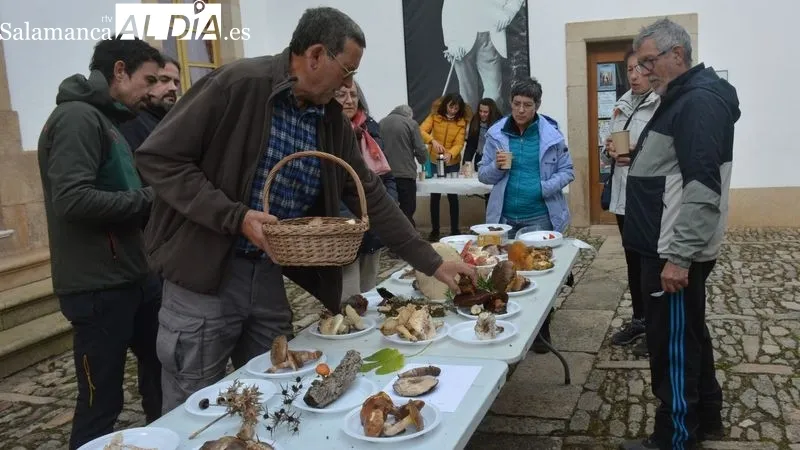 La Quedada Micológica incluyó la salida al campo y la exposición de las setas recogidas