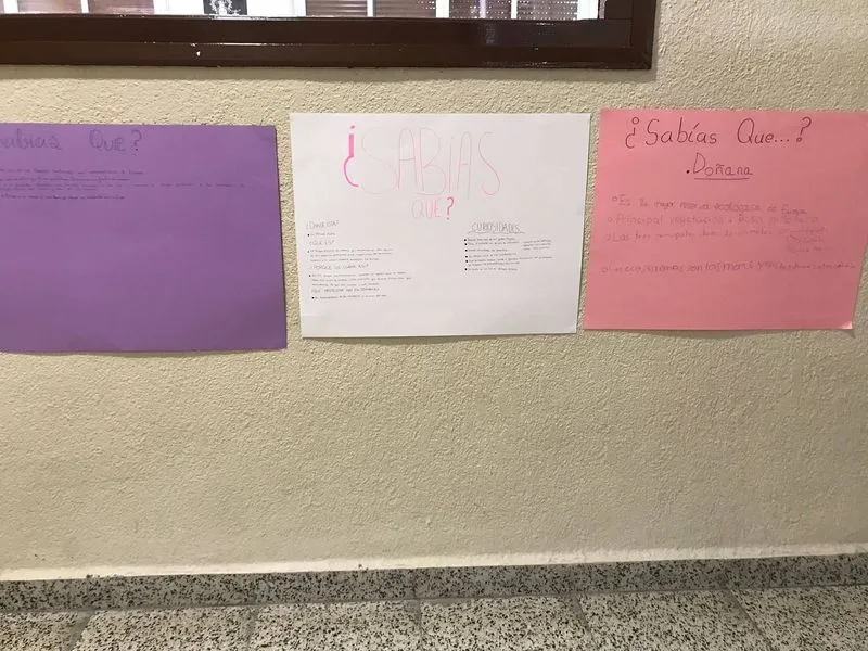 Actividades sobre Doñana en el colegio San Juan Bosco.