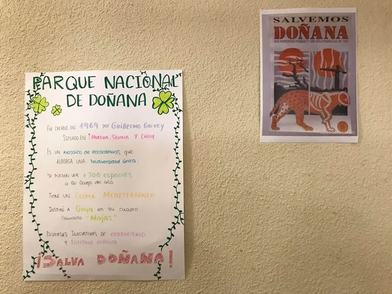 Actividades sobre Doñana en el colegio San Juan Bosco.