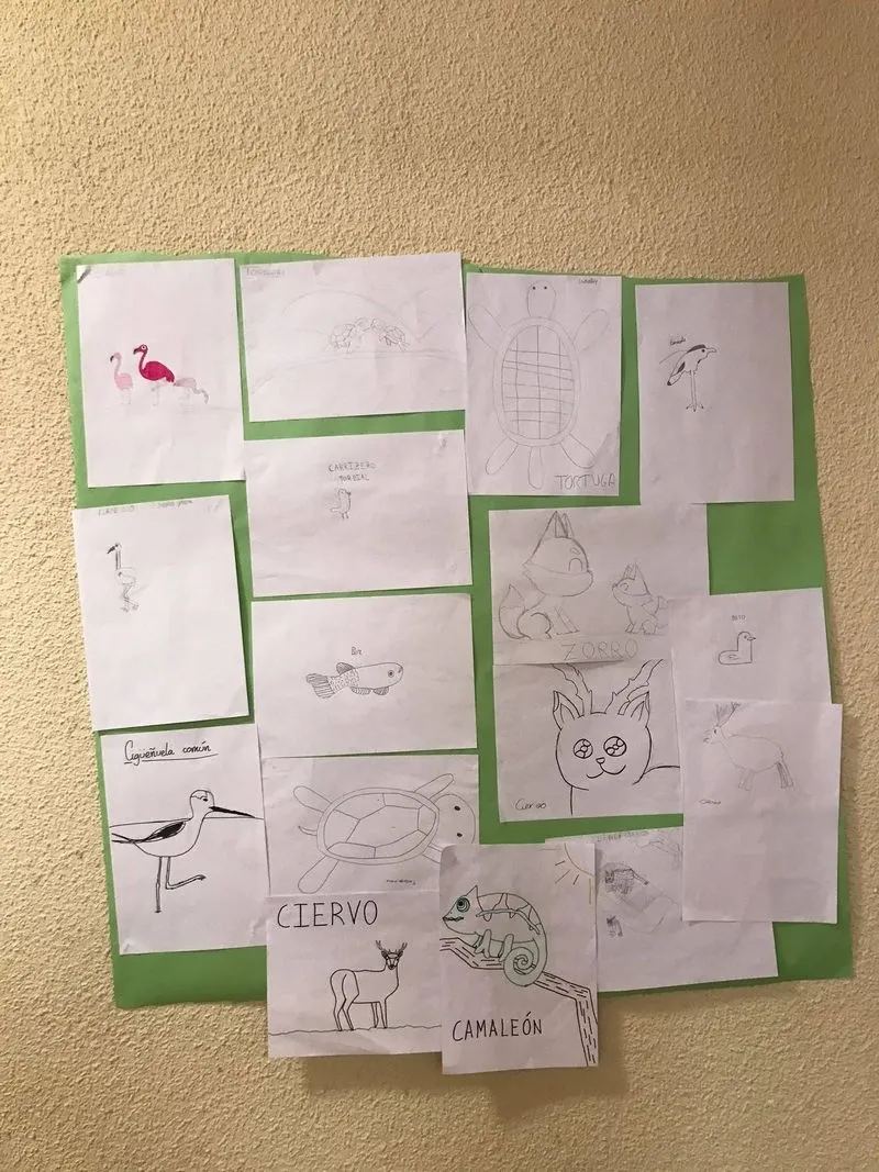 Actividades sobre Doñana en el colegio San Juan Bosco.