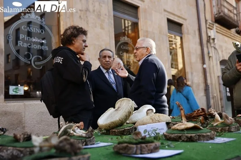 Exposición de setas en la plaza de la Libertad. Fotos: David Sañudo.