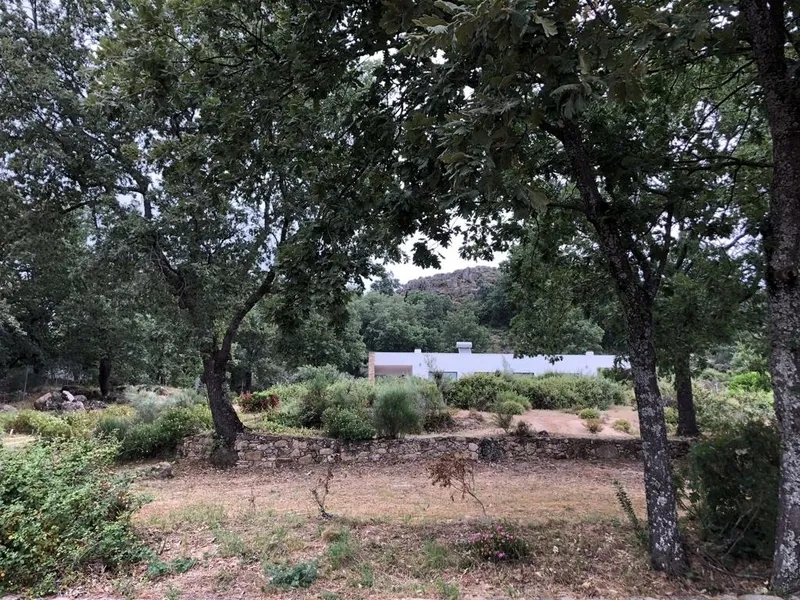 En la finca 'Los Laureles', de Casa Conrado, nada queda al azar