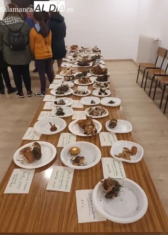 La actividad contó con la clase magistral ofrecida por el experto en micología, Juan Manuel Velasco