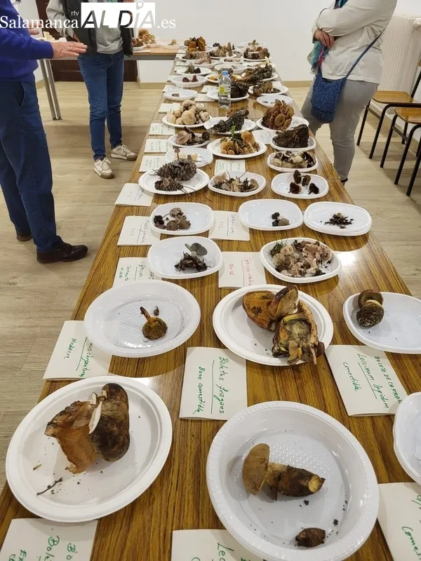 La actividad contó con la clase magistral ofrecida por el experto en micología, Juan Manuel Velasco