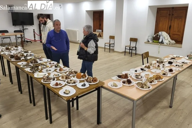La actividad contó con la clase magistral ofrecida por el experto en micología, Juan Manuel Velasco