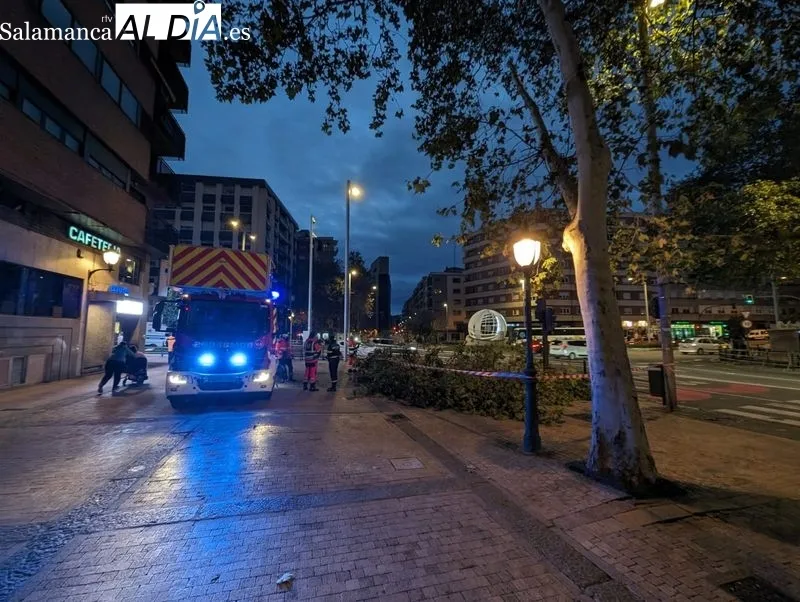 Ramas de un árbol invadiendo la vía pública en Torres Villarroel.