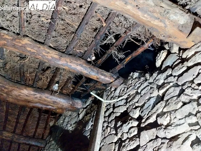 Intervención de los Bomberos de Vitigudino en un incendio urbano en Guadramiro