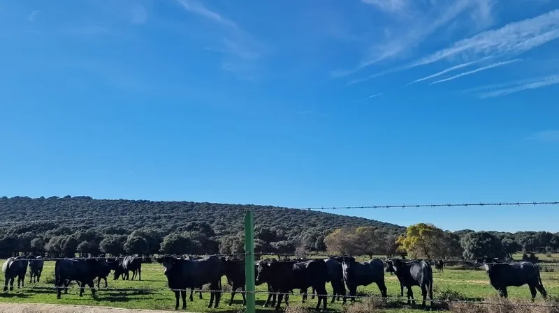 Jornada técnica sobre el futuro de la dehesa celebrada en Carrascal del Obispo
