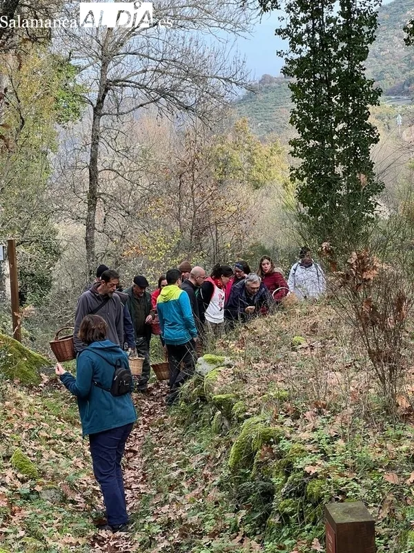 Jornada micológica en Pereña de la Ribera promovida por Adezos / CORRAL