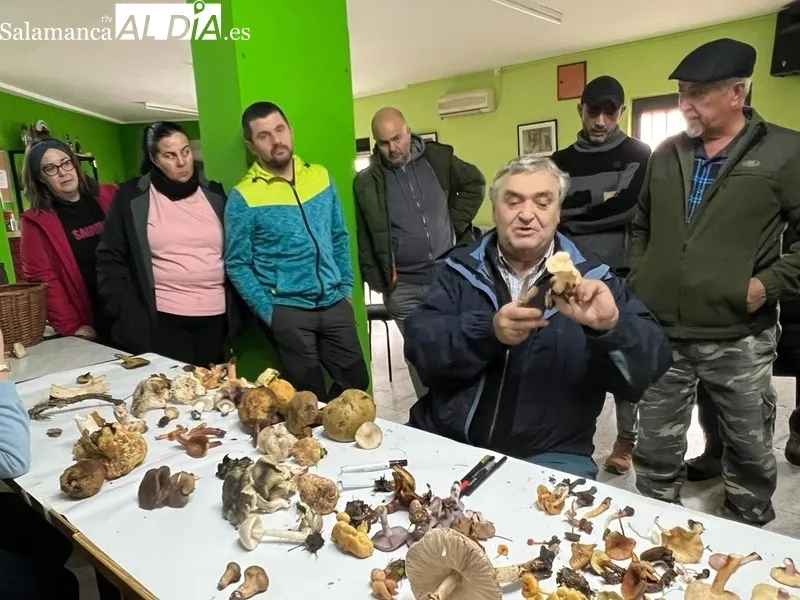 Jornada micológica en Pereña de la Ribera promovida por Adezos / CORRAL