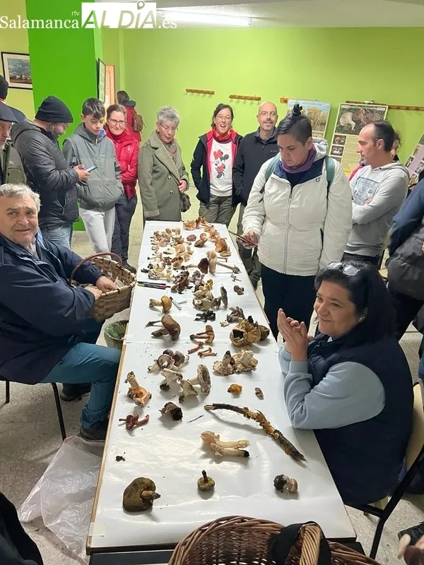 Jornada micológica en Pereña de la Ribera promovida por Adezos / CORRAL