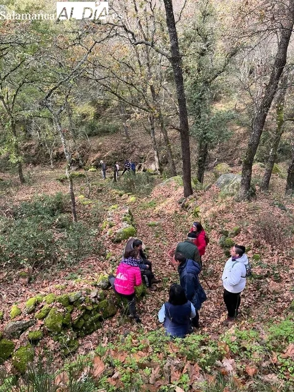 Jornada micológica en Pereña de la Ribera promovida por Adezos / CORRAL