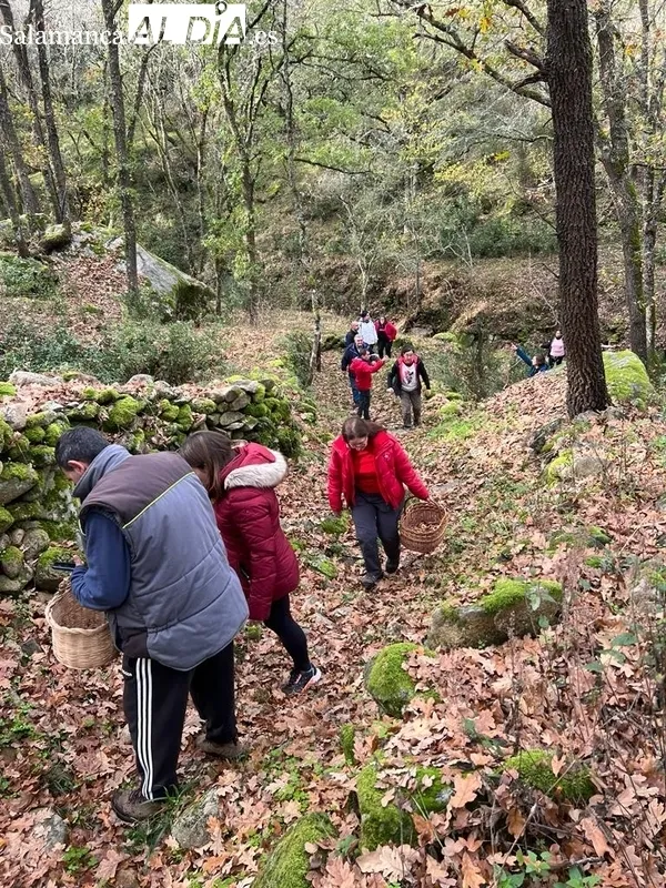 Jornada micológica en Pereña de la Ribera promovida por Adezos / CORRAL
