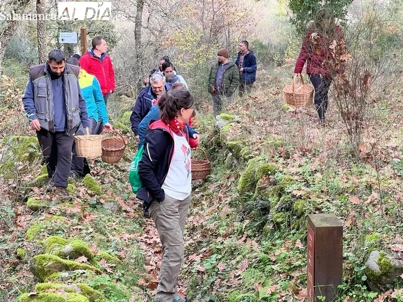 Jornada micológica en Pereña de la Ribera promovida por Adezos / CORRAL