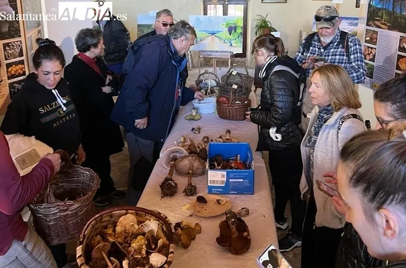 Interesante jornada micológica en Aldeadávila de la Ribera promovida por ADEZOS y que ha contado con la colaboración del Ayuntamiento / CORRAL   
