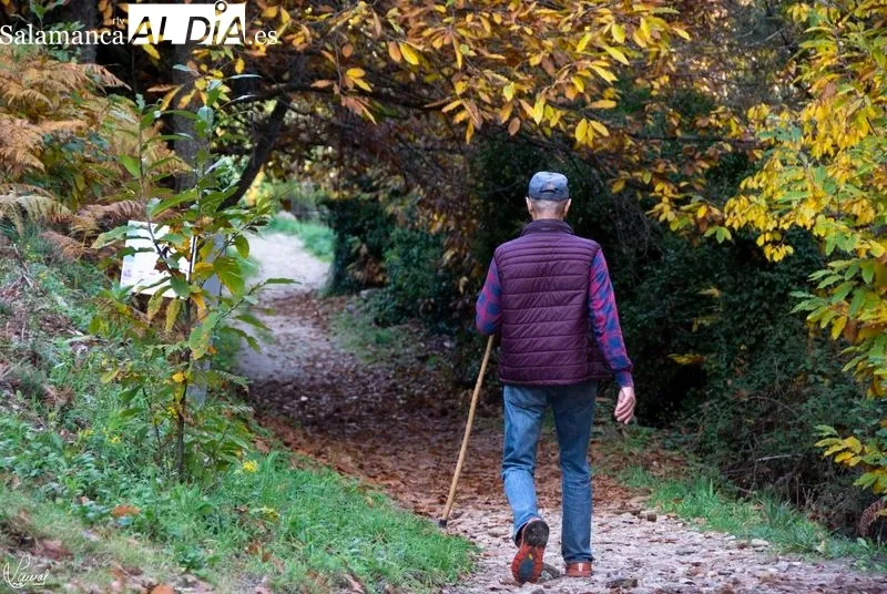 Camino del Agua - Parque Natural de las Batuecas Sierra Francia. Foto de Manuel Lamas