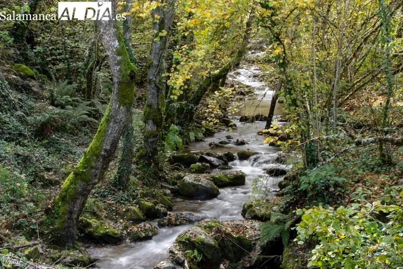 Camino del Agua - Parque Natural de las Batuecas Sierra Francia. Foto de Manuel Lamas
