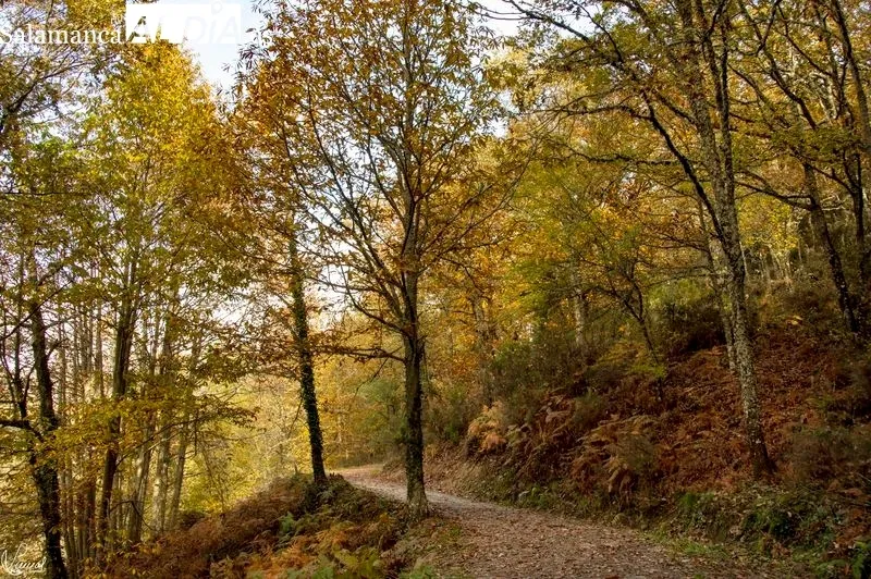 Camino del Agua - Parque Natural de las Batuecas Sierra Francia. Foto de Manuel Lamas