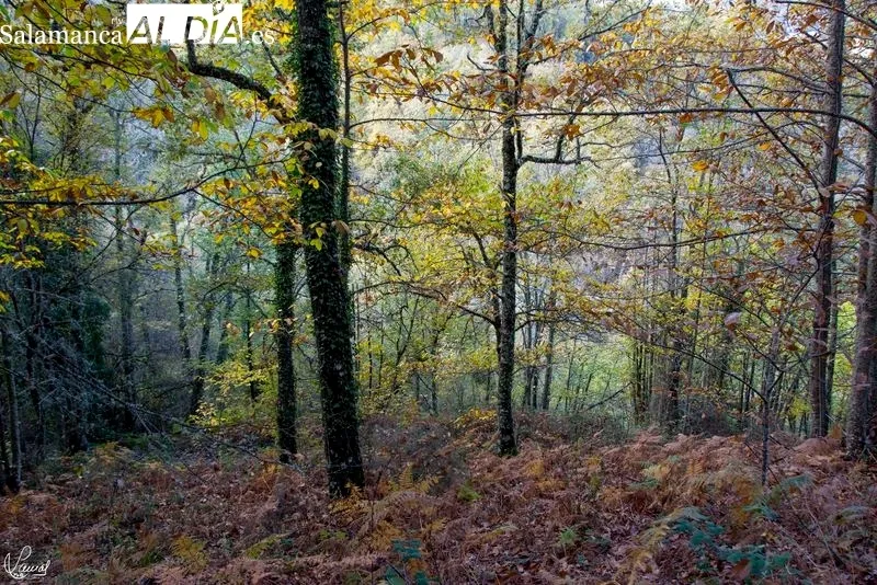 Camino del Agua - Parque Natural de las Batuecas Sierra Francia. Foto de Manuel Lamas