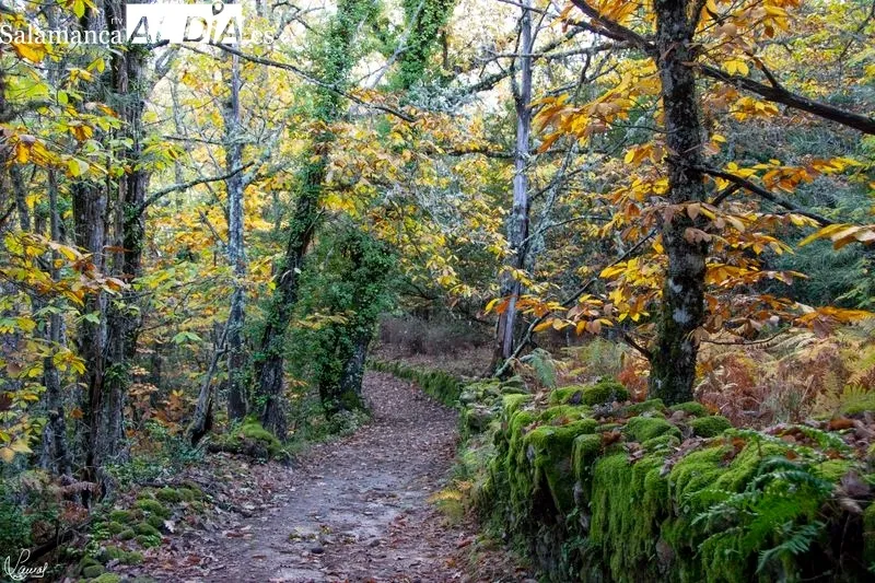 Camino del Agua - Parque Natural de las Batuecas Sierra Francia. Foto de Manuel Lamas