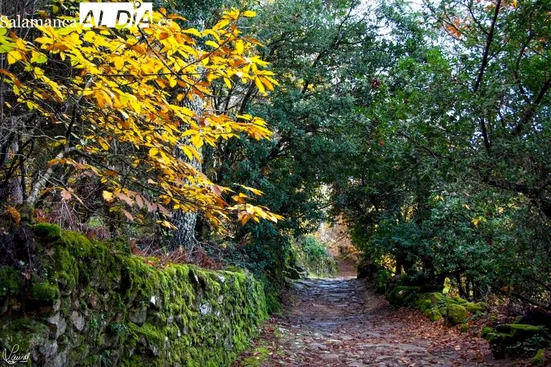 Camino del Agua - Parque Natural de las Batuecas Sierra Francia. Foto de Manuel Lamas