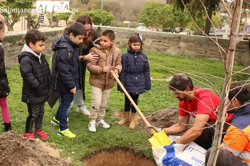 Foto 8 - C&aacute;ritas planta un &aacute;rbol para simbolizar un futuro mejor