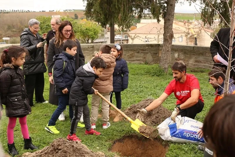 Foto 7 - C&aacute;ritas planta un &aacute;rbol para simbolizar un futuro mejor