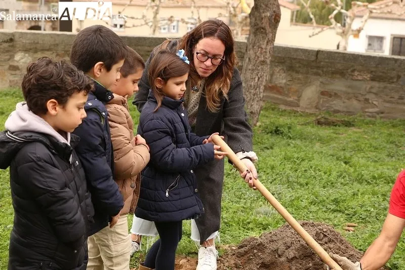 Foto 10 - C&aacute;ritas planta un &aacute;rbol para simbolizar un futuro mejor