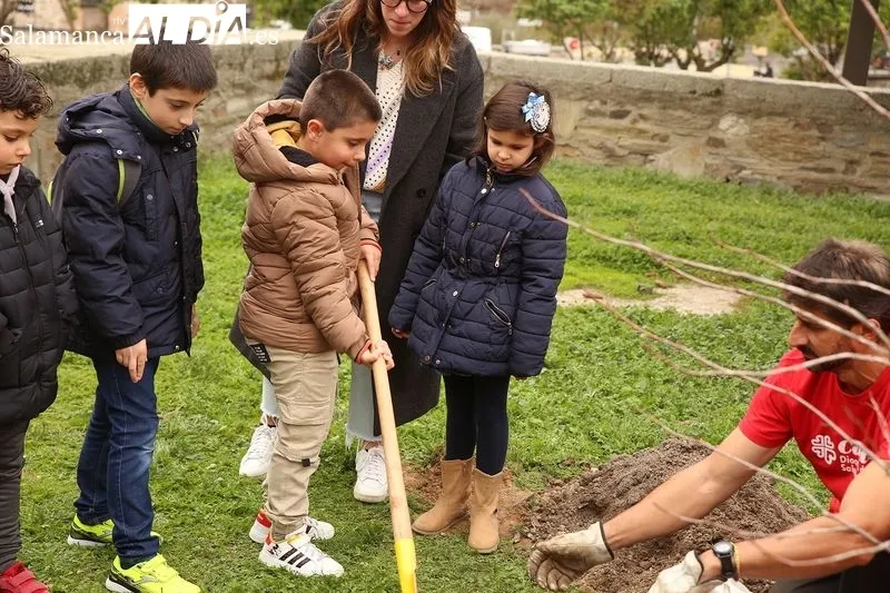 Foto 9 - C&aacute;ritas planta un &aacute;rbol para simbolizar un futuro mejor