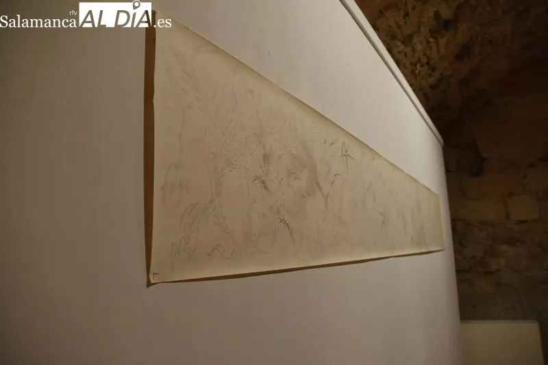 El Espacio Arte Experimental Fonseca acoge la exposición 'De lo sideral a lo visceral', del artista Darío Hernández. Foto de Vanesa Martins