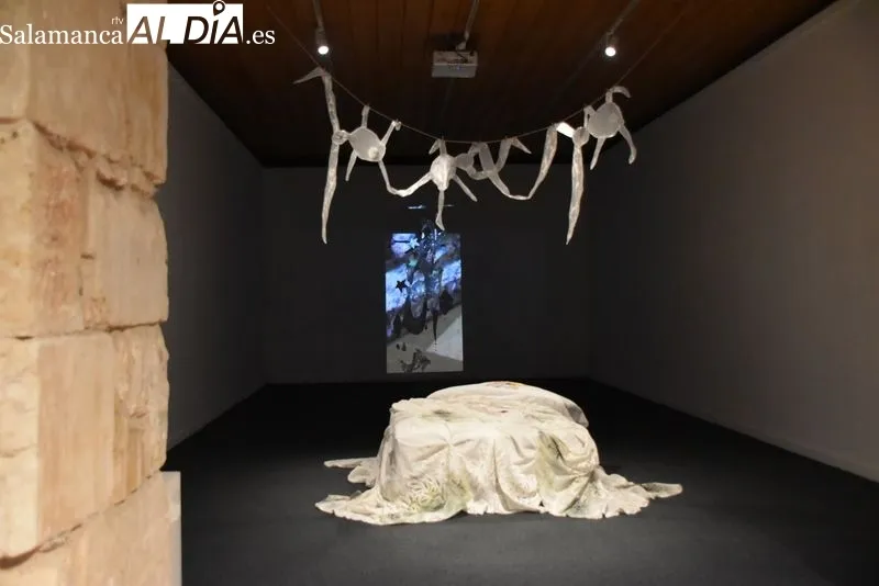 El Espacio Arte Experimental Fonseca acoge la exposición 'De lo sideral a lo visceral', del artista Darío Hernández. Foto de Vanesa Martins