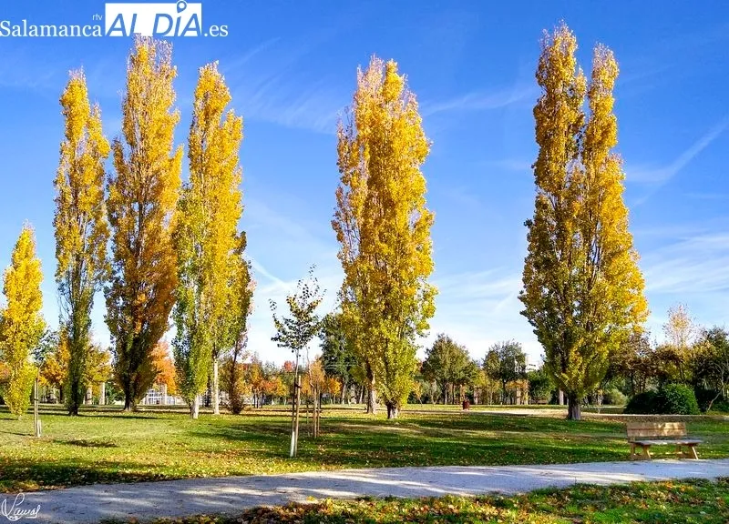 Parque Botánico de Huerta Otea. Foto de Manuel Lamas