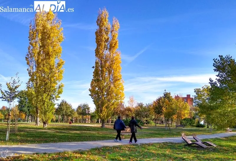 Parque Botánico de Huerta Otea. Foto de Manuel Lamas
