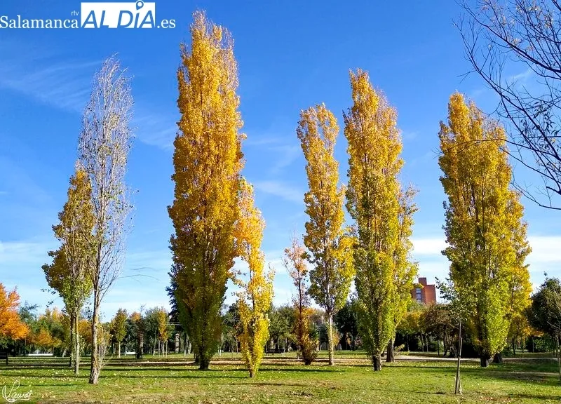Parque Botánico de Huerta Otea. Foto de Manuel Lamas
