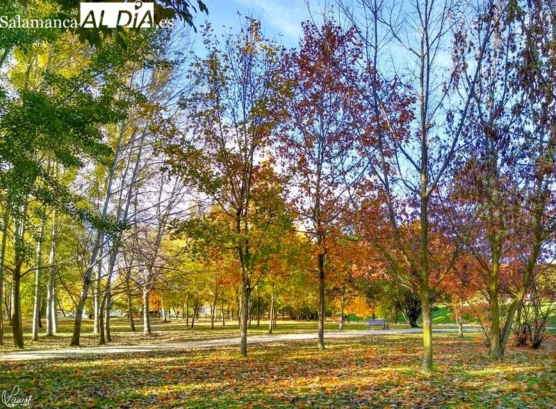 Parque Botánico de Huerta Otea. Foto de Manuel Lamas