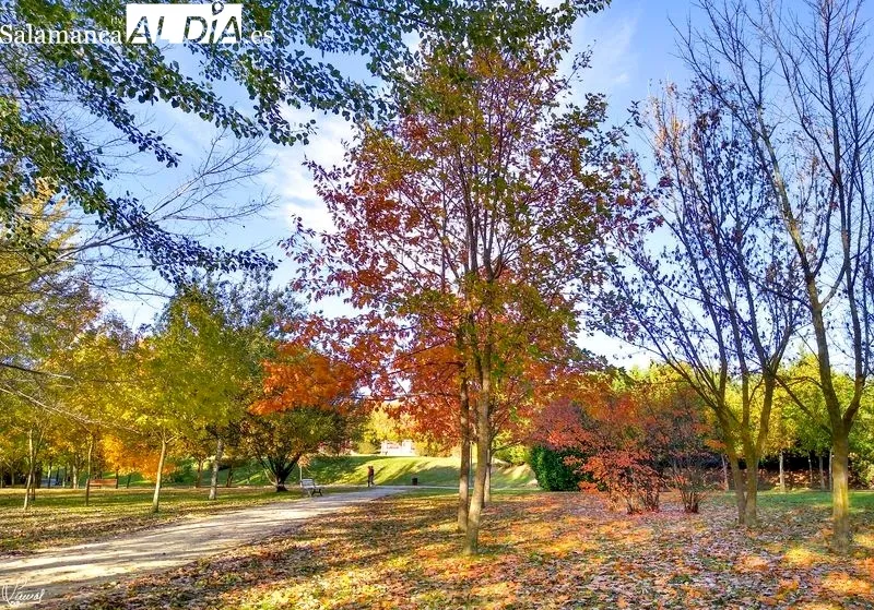 Parque Botánico de Huerta Otea. Foto de Manuel Lamas