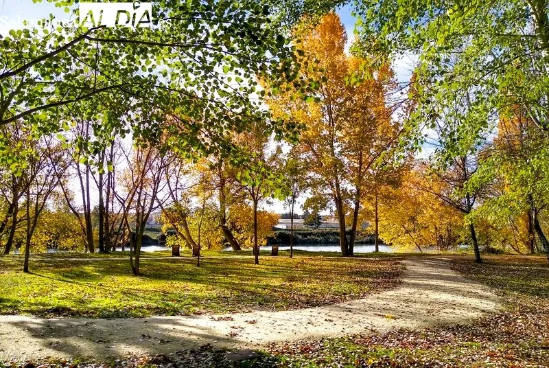 Parque Botánico de Huerta Otea. Foto de Manuel Lamas