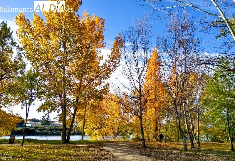 Parque Botánico de Huerta Otea. Foto de Manuel Lamas