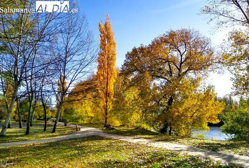 Parque Botánico de Huerta Otea. Foto de Manuel Lamas
