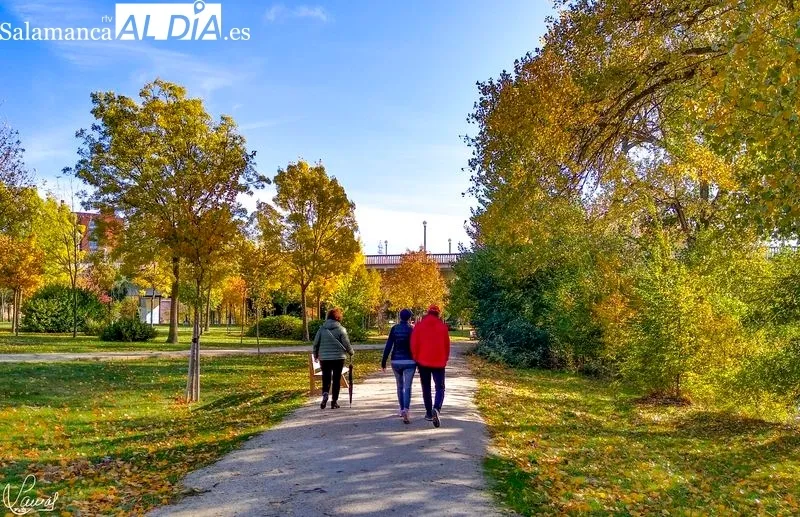 Parque Botánico de Huerta Otea. Foto de Manuel Lamas
