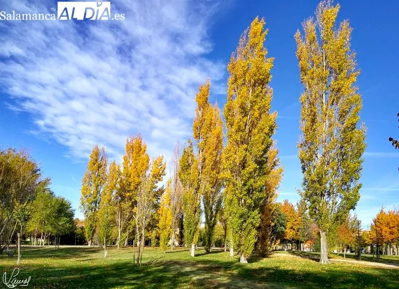 Parque Botánico de Huerta Otea. Foto de Manuel Lamas