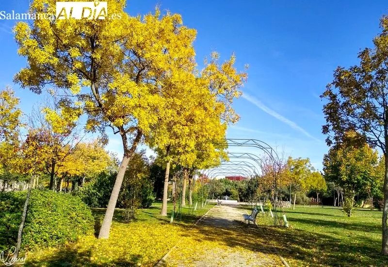 Parque Botánico de Huerta Otea. Foto de Manuel Lamas